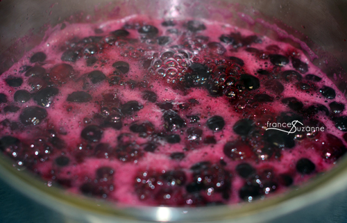 Simple Blueberry Syrup {Frances Suzanne}