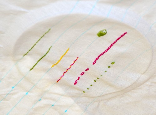 Frances Suzanne: Basic Embroidery Stitches